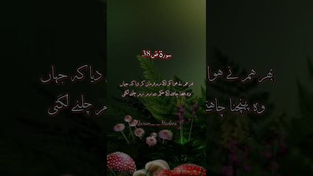 سورۃ صٓ 38. Surah Saad