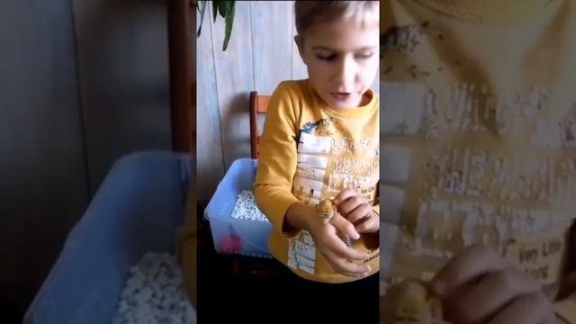 МОЙ ПЕРВЫЙ ЭУБЛЕФАР | ОСНОВЫ СОДЕРЖАНИЯ смотреть онлайн