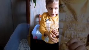 МОЙ ПЕРВЫЙ ЭУБЛЕФАР | ОСНОВЫ СОДЕРЖАНИЯ