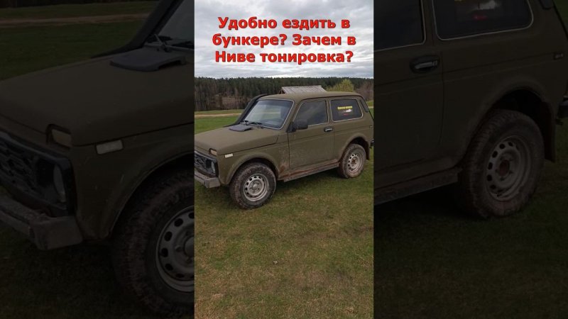 Зачем на Ниве тонировка? #мужскаякаморка #енотик #педро