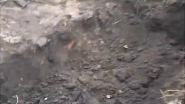 НИВА МОЖЕТ!!!ШУРФ ДЕРЕВНИ XVI ВЕКА!/ON THE SUV ACROSS THE RIVER!PIT THE OLD VILLAGE!??? смотреть онлайн