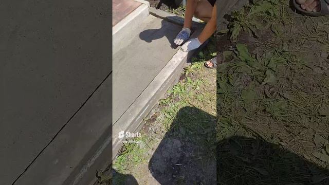 последние два сантиметра в подушку перед укладкой плит 50 на 50 и толщиной 5 см