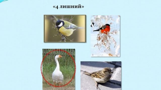Словесные игры: развитие речи и мышления