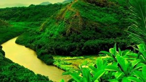 Дудук.Музыка для души.music.