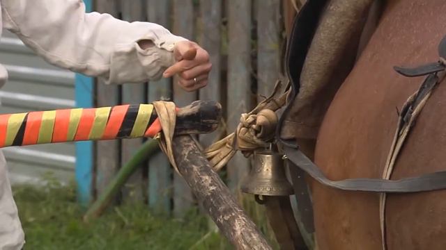 ПДНТ «Губерния». Ночь искусств в ГУБЕРНИИ. Как запрячь коня Документальная этнозарисовка. смотреть онлайн