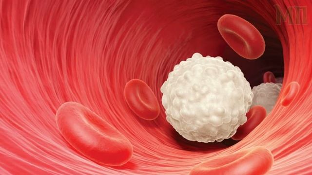 МОРКОВЬ - ПОЛЬЗА И ВРЕД (Это должны знать все. Свойства моркови от сердца до печени.) смотреть онлайн