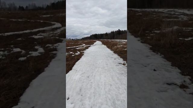 Крюково-Солнечногорск на велосипеде. 41км смотреть онлайн