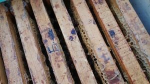 Подрамочное пространство в ульях на зимовку Перевод на зимнее время.