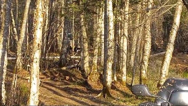 болото
