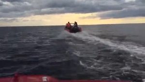 REEF СКАТ 450 FI