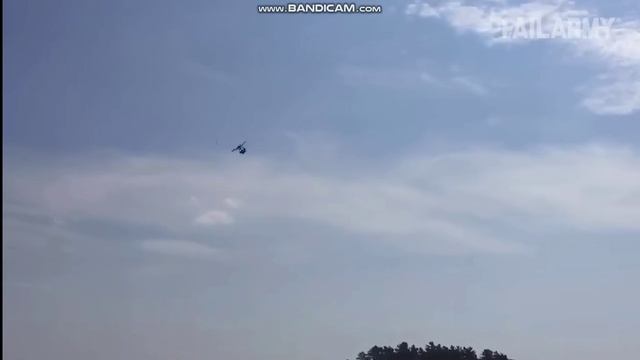 Люди - идиоты: Глупость в лучшем виде смотреть онлайн