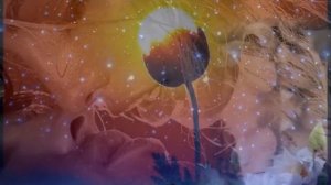 Только ночь   Ярослав Евдокимов