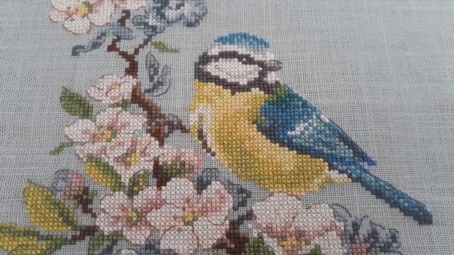 Моя вышитая работа от Lesbrodeusesparisiennes "Синичка". смотреть онлайн