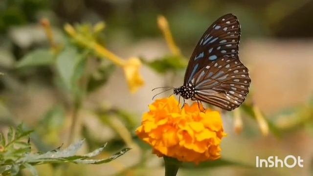 СУДЬБА РОЖДЕННЫХ 23 ОКТЯБРЯ┃ОСОБЕННОСТИ #гороскоп #день #судьба #октябрь #особенности #удача #успех смотреть онлайн