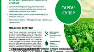 Трава повилика: описание сорняка, свойства, как бороться