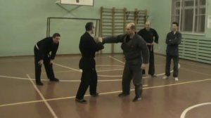 феникс джиу джитсу 41