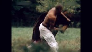 Что такое Киокушинкай Каратэ