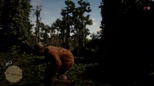 Red Dead Redemption II, проблема с текстурами.