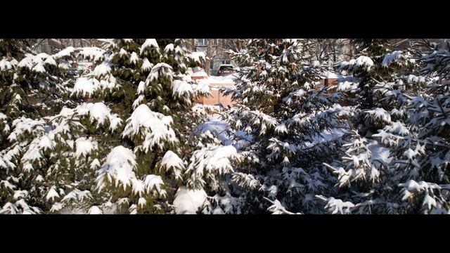 Прогулка по Петропавловску-Камчатскому. Сероглазка. Колхоз им. Ленина