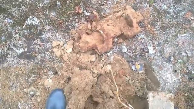 Грибов нет, собираем метал смотреть онлайн