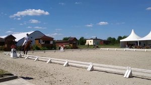Эйлат, езда для лошадей 4 лет. 20.06.19 Новый Век, 3 место, 72,4%