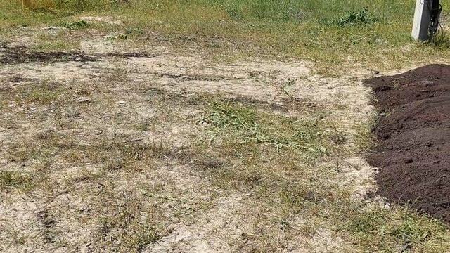 укладка газона смотреть онлайн