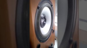 Bass test Dialog W-203.