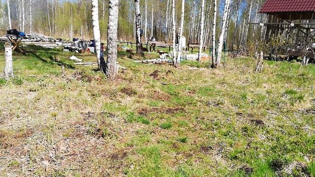 #37 Теплица своими руками / Фундамент / День рождения Лены смотреть онлайн