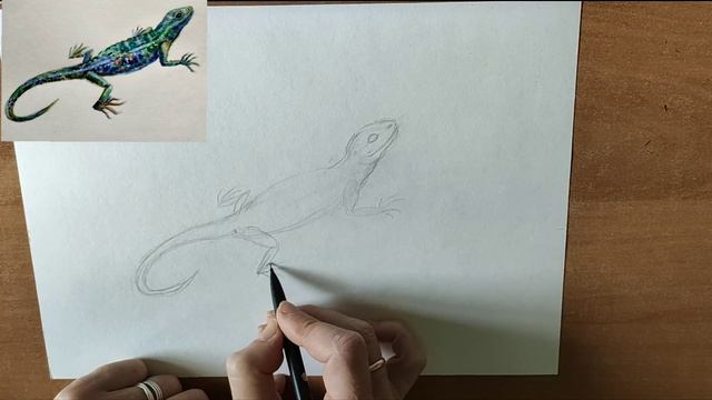 Как нарисовать ящерицу акварелью. Мастер-класс//Short tutorial: how to draw a lizard with watercolo смотреть онлайн