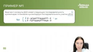 ЗАДАЧИ НА БИОСИНТЕЗ БЕЛКА С НУЛЯ | БИОЛОГИЯ | ЕГЭ 2023 | 99 БАЛЛОВ