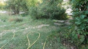 Заповедник Галичья Гора, Липецкая область