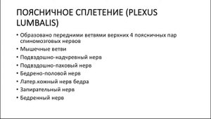 АНАТОМИЯ ЭКЗАМЕН #НЕРВНЫЕ СПЛЕТЕНИЯ