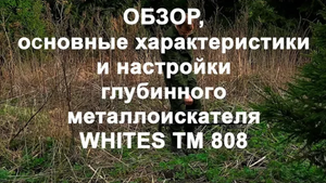 Whites TM 808. Обзор, хар-ки и настройки глубинного металлоискателя