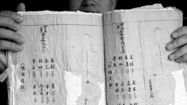 2. История возникновения учения о меридианах смотреть онлайн