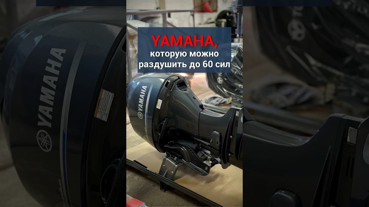 Мотор Yamaha, который раздушивается в 60 сил: показываем комплектацию #ямаха #лодки #рыбалка #охота