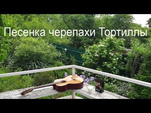 "Песенка черепахи Тортиллы" или: «Стать богатеем иной норовит…» Стихи и музыка Булата Окуджавы