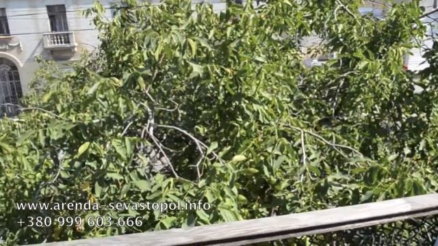 Аренда квартир в Севастополе посуточно - 2 ком. ул. Большая Морская 44