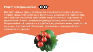 3 забытых травяных рецепта от глаукомы которые реально работают