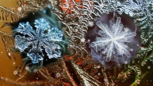 Вальс снежинок...