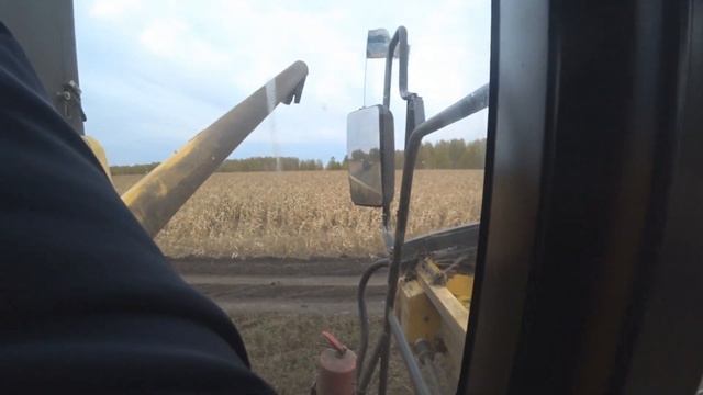 Уборочная 2021.Комбайн New Holland csx 7060 i 6090 смотреть онлайн