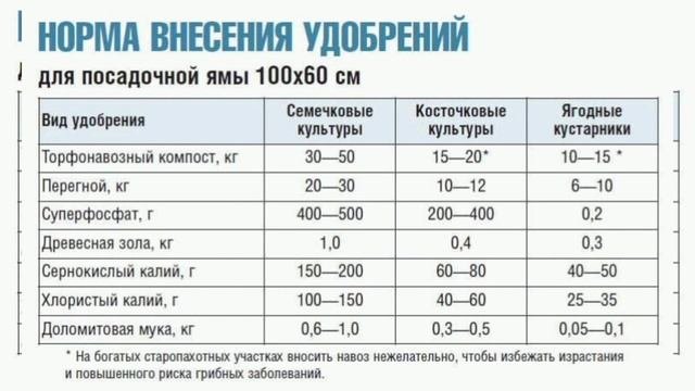 Есть подкормка, чтобы урожай картошки был в 3-4 раза больше! Делюсь удобрением, никогда не подводил