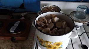 Рецепт маринованных грибов синие ножки