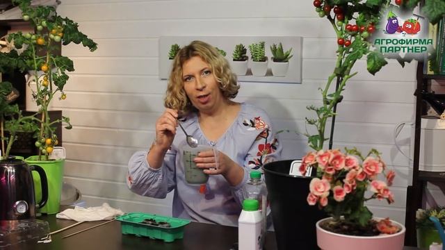 РАССАДА БАКЛАЖАНОВ. ПРАКТИЧЕСКИЕ СОВЕТЫ
