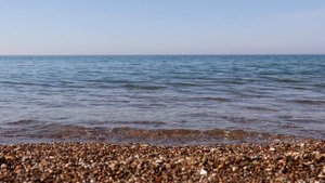 СКОЛЬКО ЗАРАБАТЫВАЕТ АЛЕКС БРЕЖНЕВ? LoraUSA Дальнобой по Америке против АМЕРИКА НАИЗНАНКУ