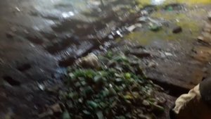 Пансионат Голубое озеро. 11.04.2020