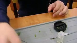 Приготовление среза с помощью микротома