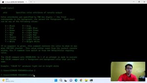 How To Change Command Prompt Background Font Color in Windows 11 | Cmd Tricks