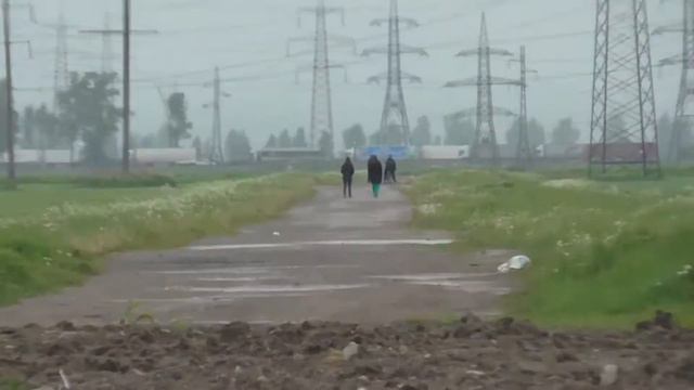 Колпинская ферма на въезде в Колпино