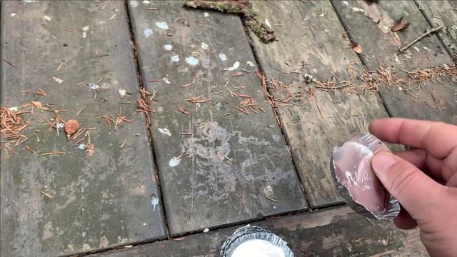 Средство от слизней и улиток.Борьба с вредителями на своем участке смотреть онлайн