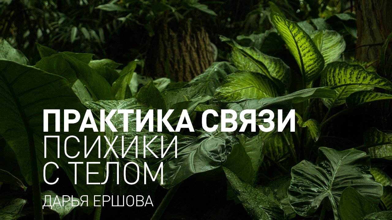 Майндфулнесс упражнение. Практика связи психики с телом.